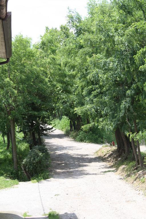 Agriturismo I Due Merli Hotel Zanica Zewnętrze zdjęcie