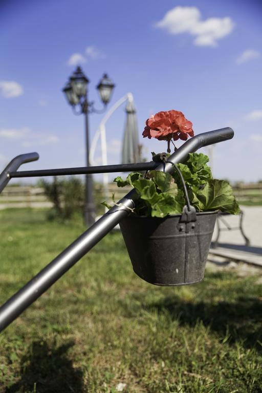 Agriturismo I Due Merli Hotel Zanica Zewnętrze zdjęcie